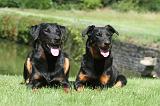 BEAUCERON 060